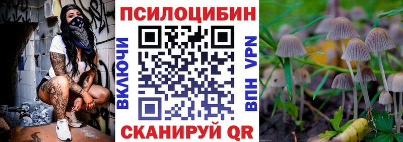 где купить наркоту  Северо-Курильск  Галлюциногенные грибы Magic Shrooms 